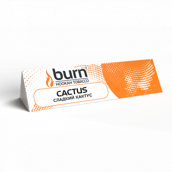 Табак BURN CACTUS 25 грамм в Сочи