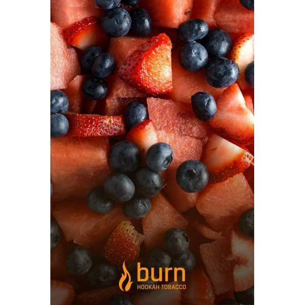 Табак Burn Berried Treasure 100 грамм в Сочи