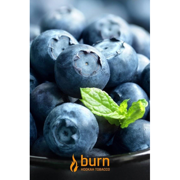 Табак Burn Blueberry Mint 100 грамм в Сочи