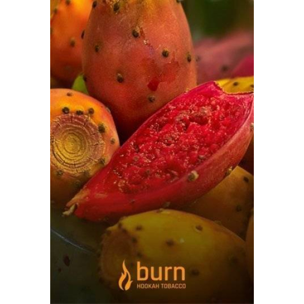 Табак Burn Cactus 100 грамм в Сочи