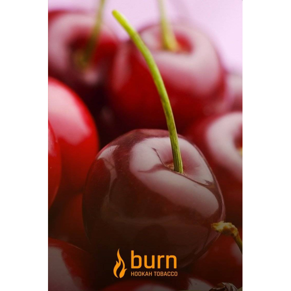 Табак Burn Candy Cherry 100 грамм в Сочи