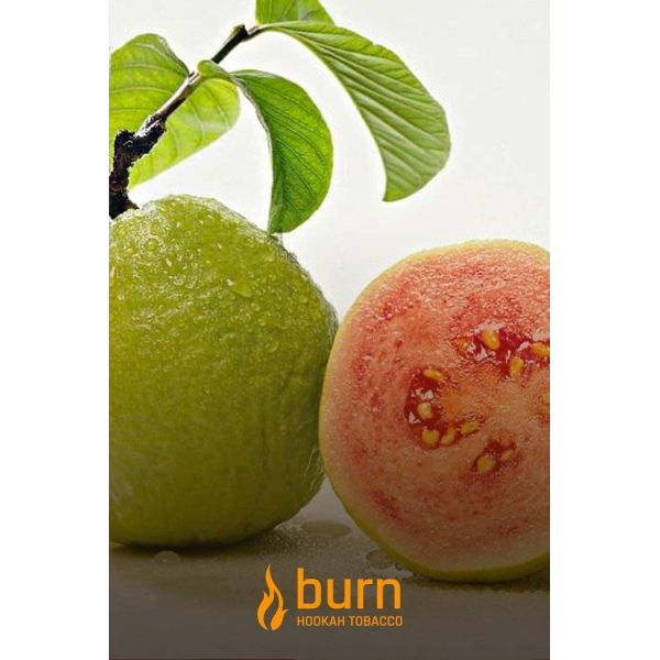 Табак Burn Guava 100 грамм в Сочи