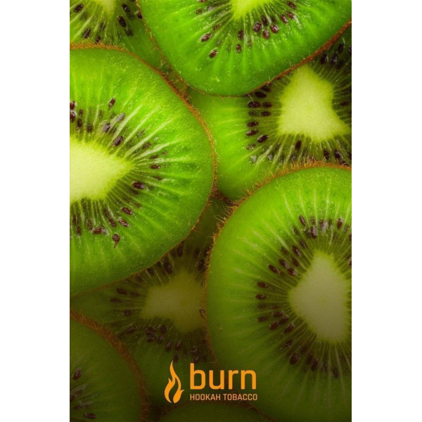 Табак Burn Kiwi 100 грамм в Сочи