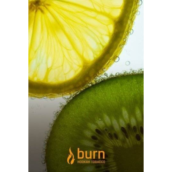 Табак Burn Kiwi Lemon 100 грамм в Сочи