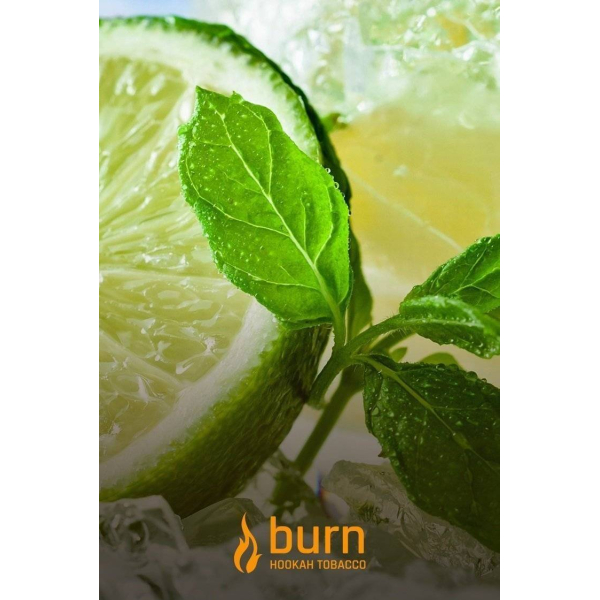 Табак Burn Lemon Mint 100 грамм в Сочи