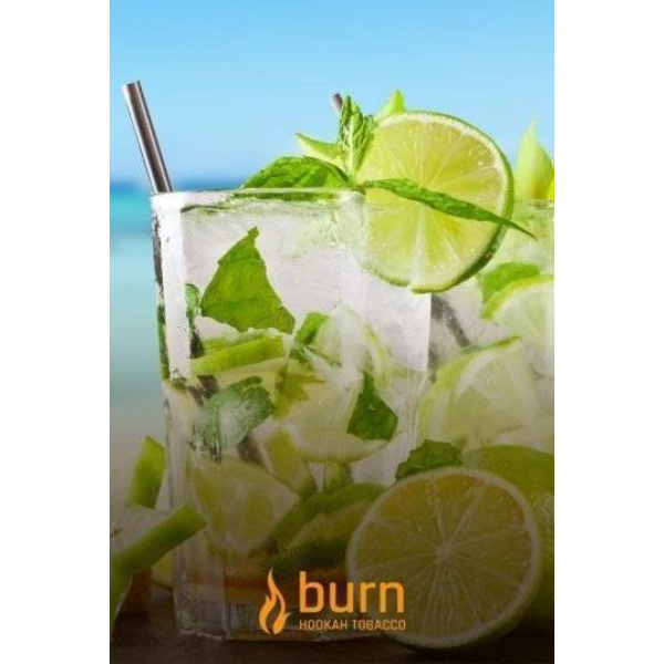 Табак Burn Mojito 100 грамм в Сочи