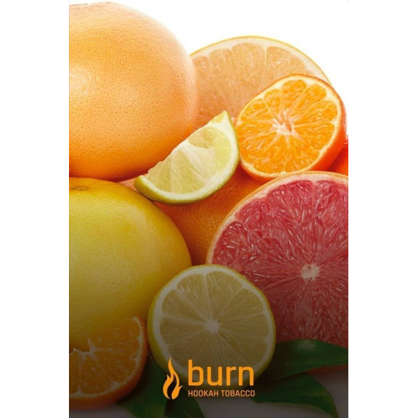 Табак Burn SundaySun 100 грамм в Сочи