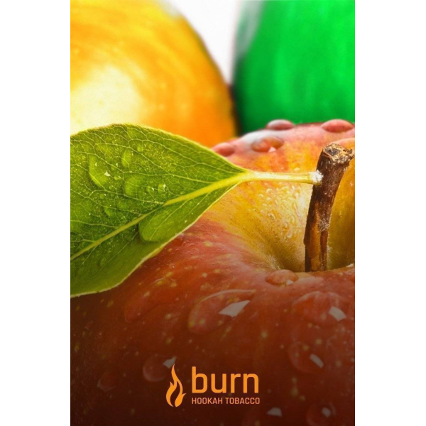 Табак Burn Three Apples 100 грамм в Сочи