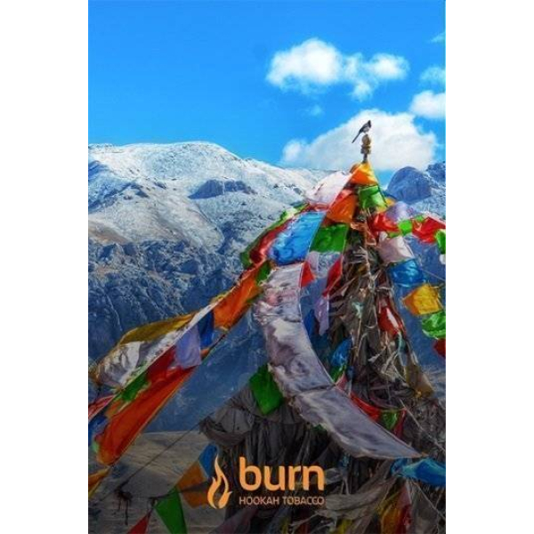 Табак Burn Tibet 100 грамм в Сочи