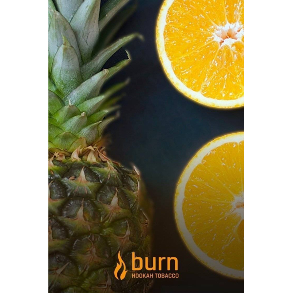 Табак Burn White Night 100 грамм в Сочи