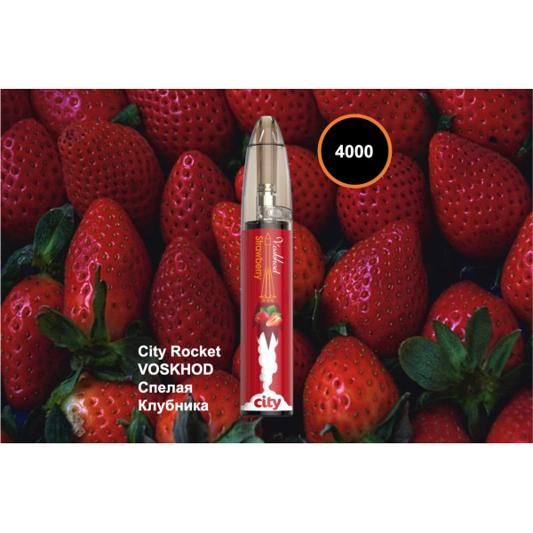 City Rocket VOSKHOD, 4000 тяг в Сочи