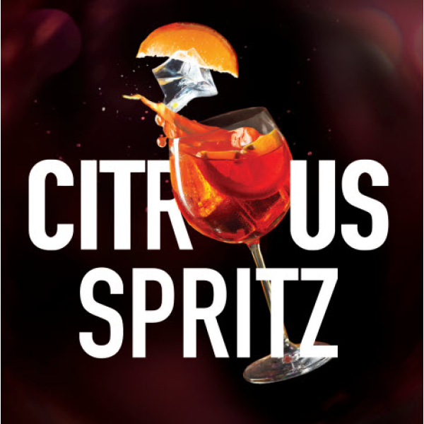Табак Must Have Citrus Spritz 25 грамм в Сочи