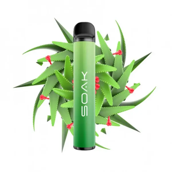 SOAK X Aloe Vera (Алое Вера), 1500 тяг в Сочи