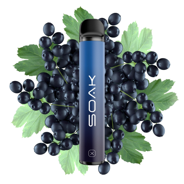 SOAK X Forest Blackcurrant (Лесная черная смородина), 1500 тяг в Сочи