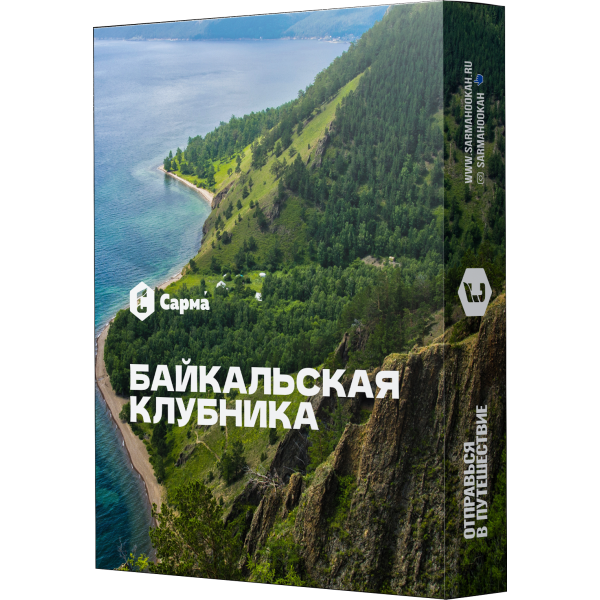 Табак Сарма Байкальская Клубника 25 гр в Сочи