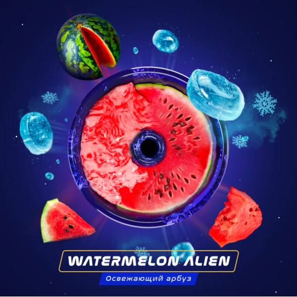 Паста Space Smoke BASIC Watermelon  Alien (Арбуз с  холодком) 30 гр в Сочи