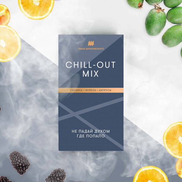 Табак Шпаковского Chill Out (Ежевика Фейхоа Цитрусы) 40 грамм в Сочи