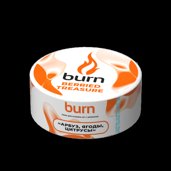 Табак Burn Berried Treasure  25 грамм в Сочи
